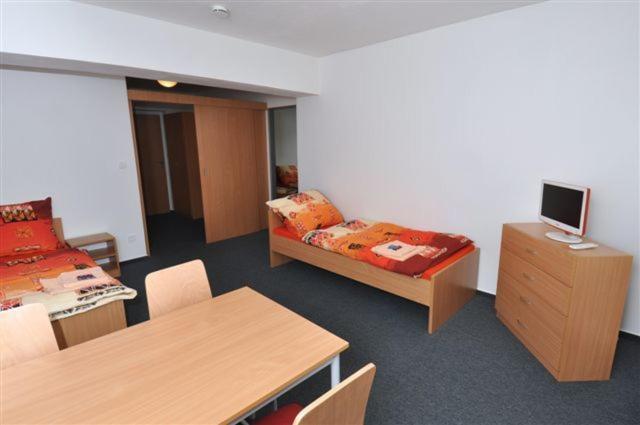 Sport Hotel Ticha Orlice Ústí nad Orlicí Værelse billede