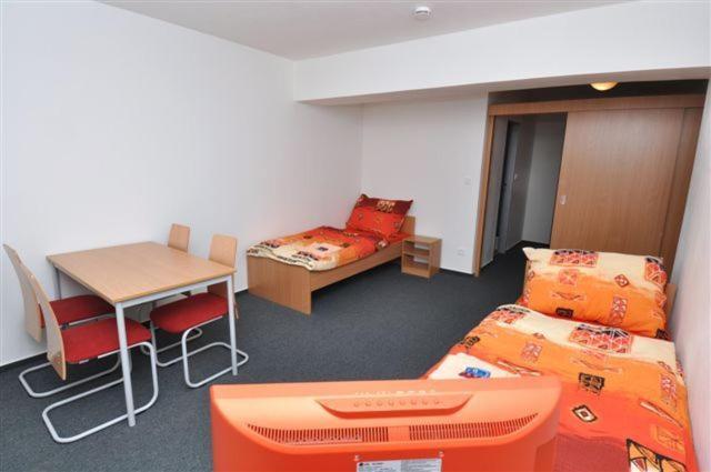Sport Hotel Ticha Orlice Ústí nad Orlicí Værelse billede